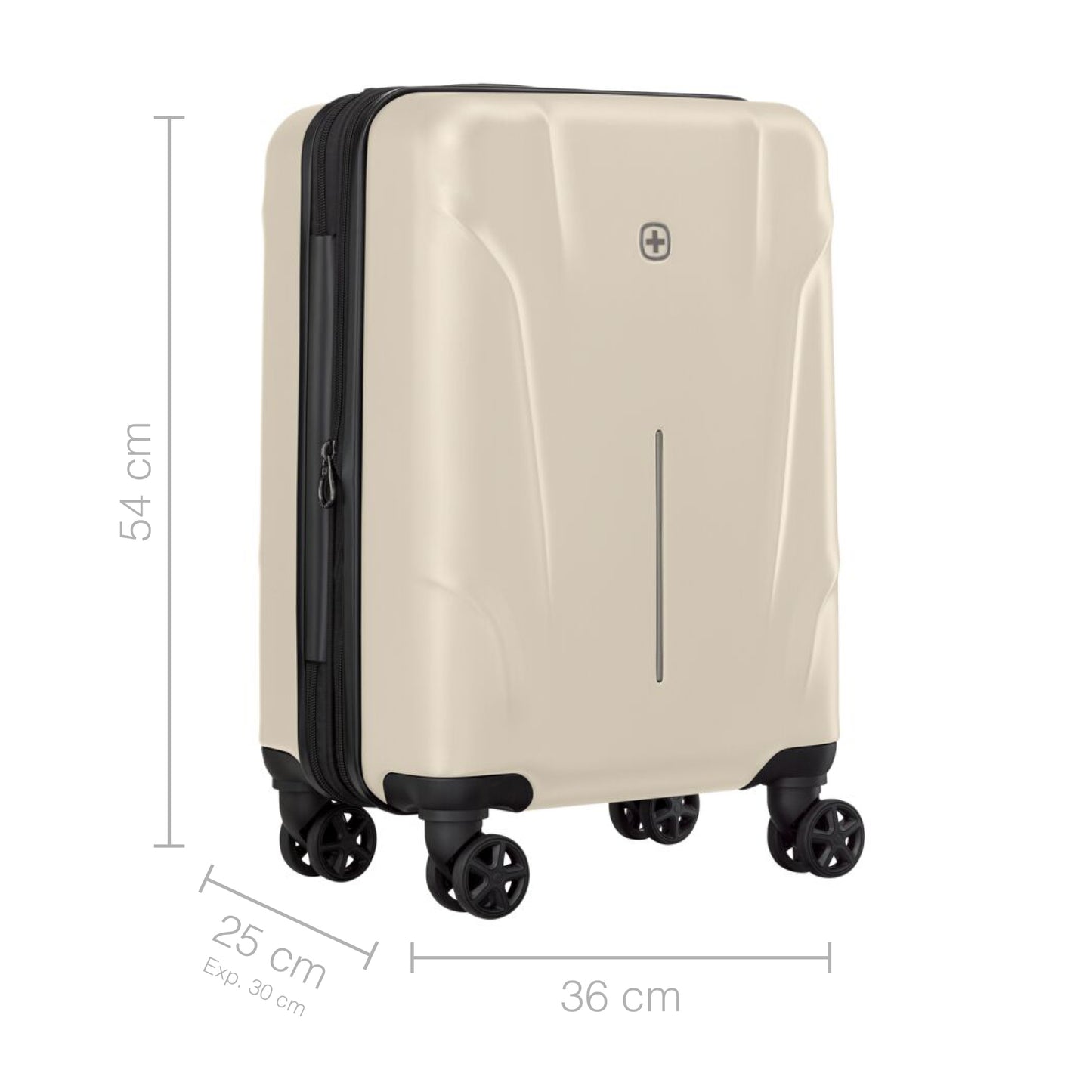 Ryon Pro 3-Piece Hardside Set